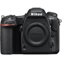 Nikon D500 + 16-80mm f/2.8-4
